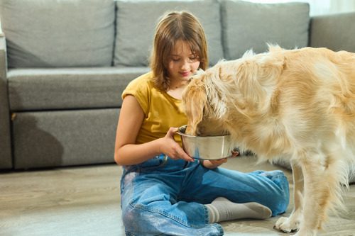 teen girl sits on the floor holding golden retriever dog's food bowl while he eats