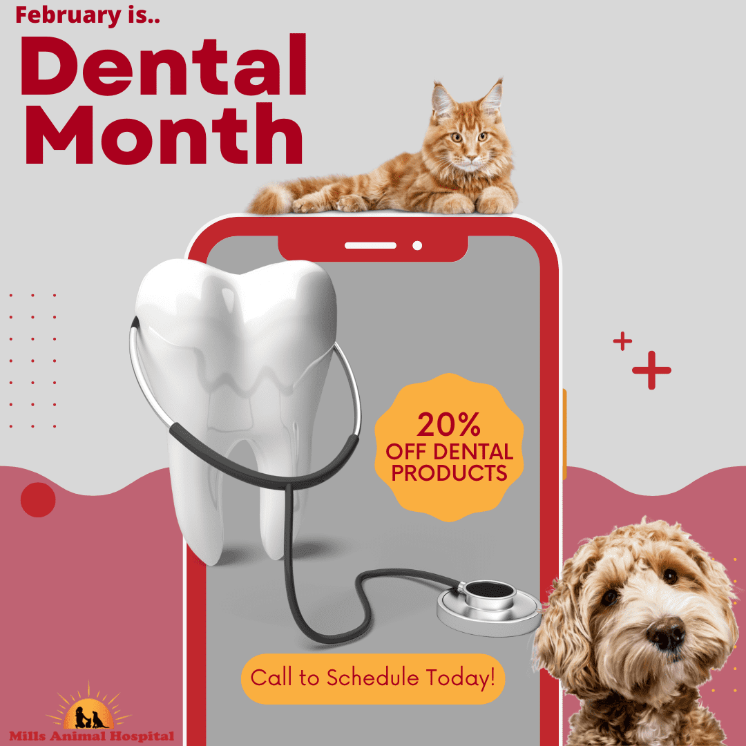 Facebook Dental Month