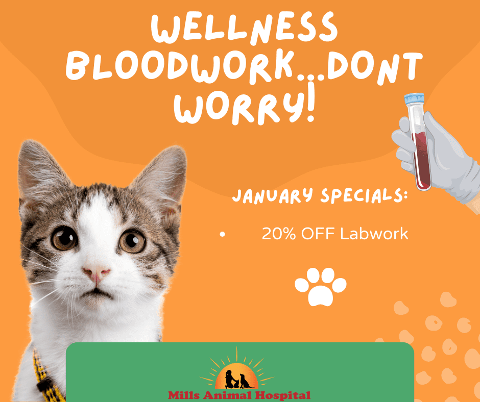 List-of-Official-QuickBooks-Enterprise-Customer-Care-Number-Speak-to-a-Live-Representative