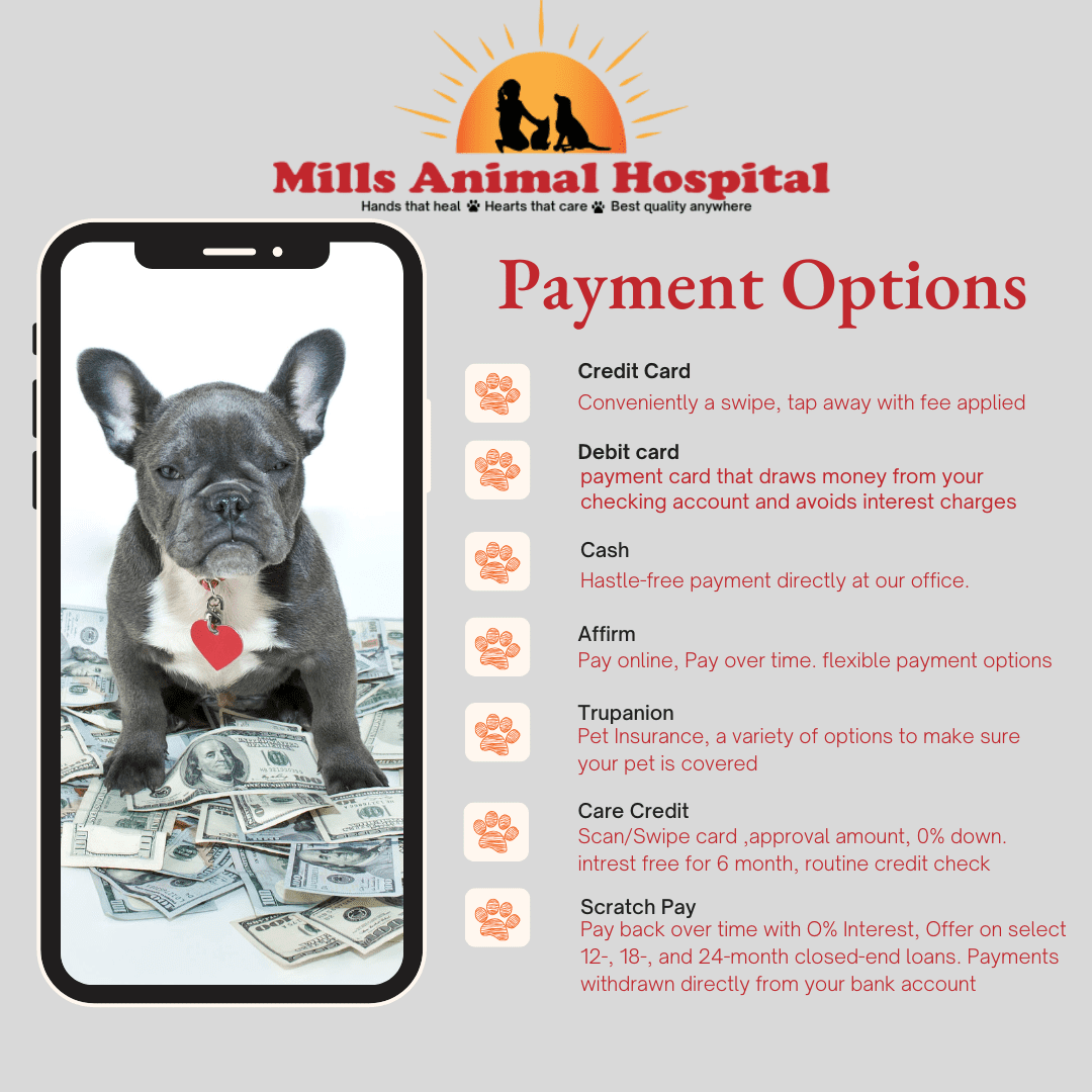 List Of Payment Options