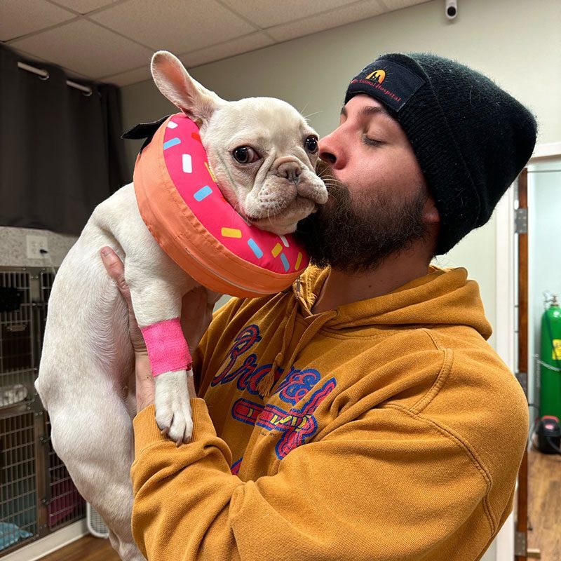 Dog Wearing Cute Surgery Cone Gets Kiss From Technician