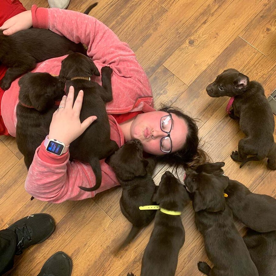 surrounded by puppies